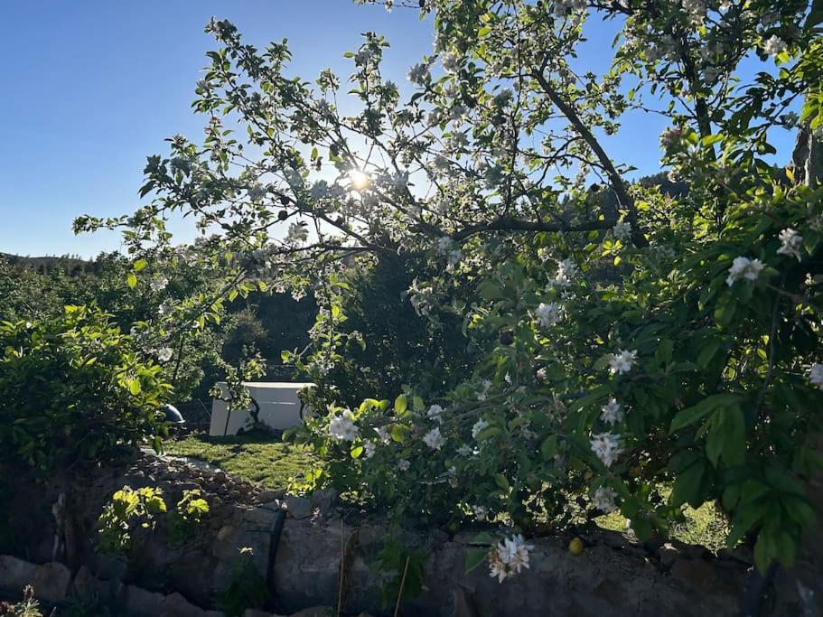 Lilly'S Finca - Romantischter Rueckzugsort - Pool فيلافلور المظهر الخارجي الصورة