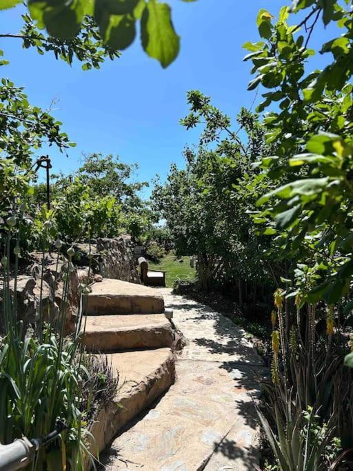 Lilly'S Finca - Romantischter Rueckzugsort - Pool فيلافلور المظهر الخارجي الصورة