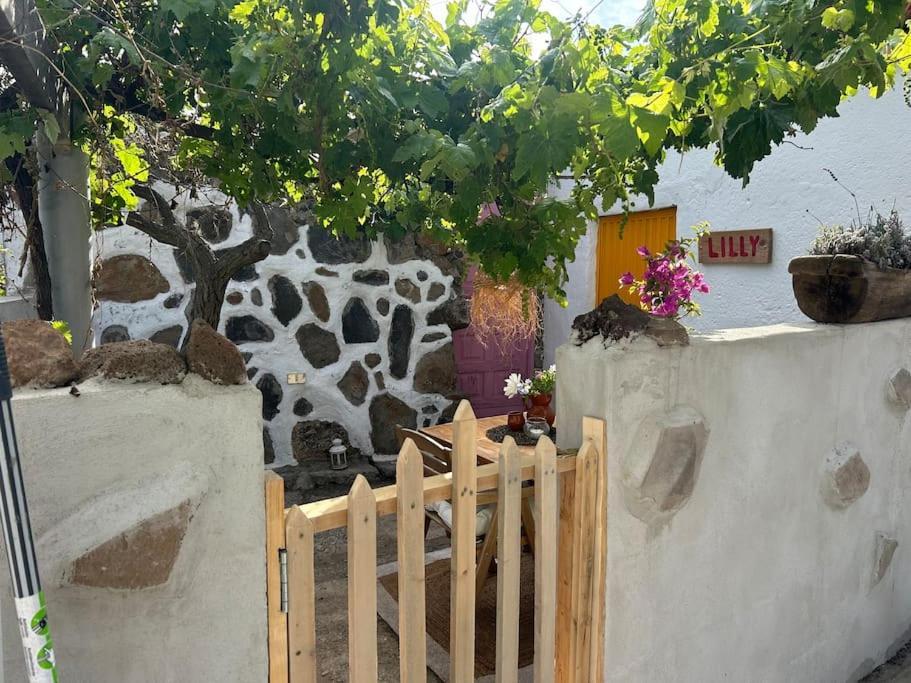 Lilly'S Finca - Romantischter Rueckzugsort - Pool فيلافلور المظهر الخارجي الصورة