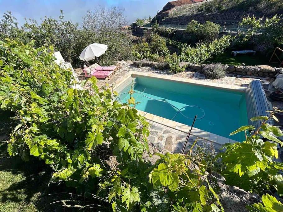 Lilly'S Finca - Romantischter Rueckzugsort - Pool فيلافلور المظهر الخارجي الصورة