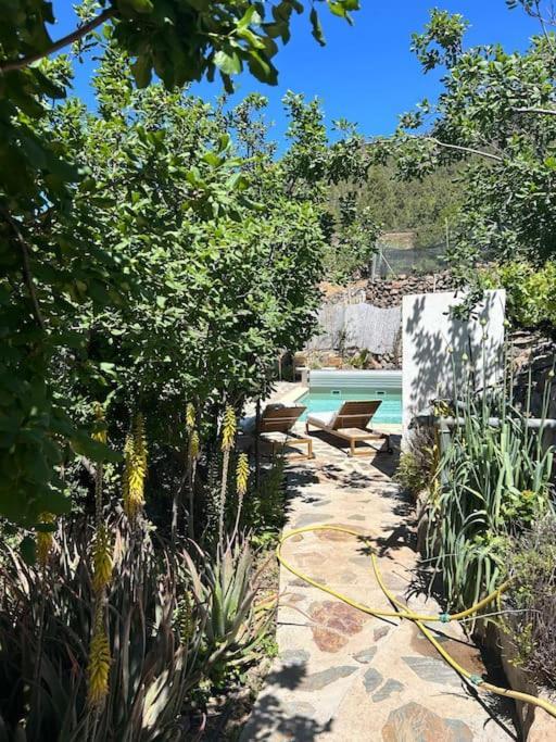 Lilly'S Finca - Romantischter Rueckzugsort - Pool فيلافلور المظهر الخارجي الصورة