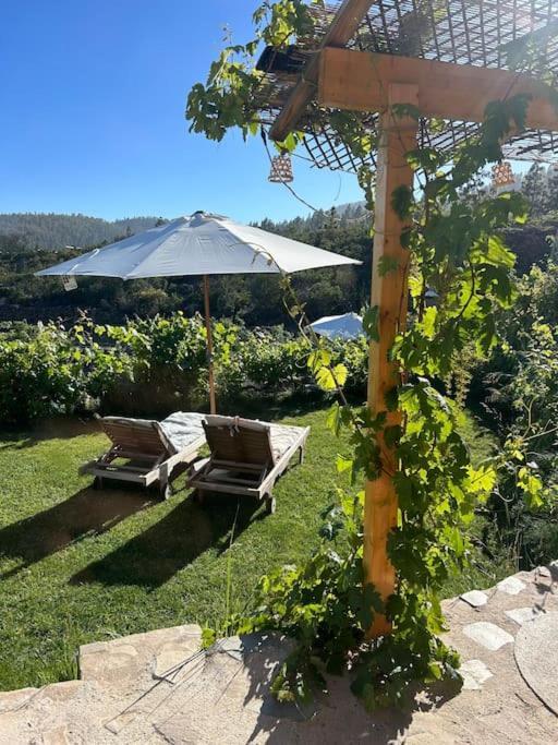 Lilly'S Finca - Romantischter Rueckzugsort - Pool فيلافلور المظهر الخارجي الصورة