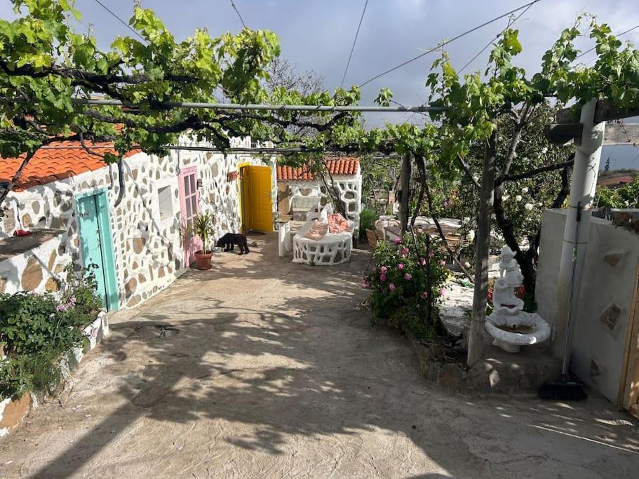 Lilly'S Finca - Romantischter Rueckzugsort - Pool فيلافلور المظهر الخارجي الصورة