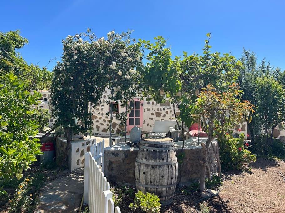 Lilly'S Finca - Romantischter Rueckzugsort - Pool فيلافلور المظهر الخارجي الصورة