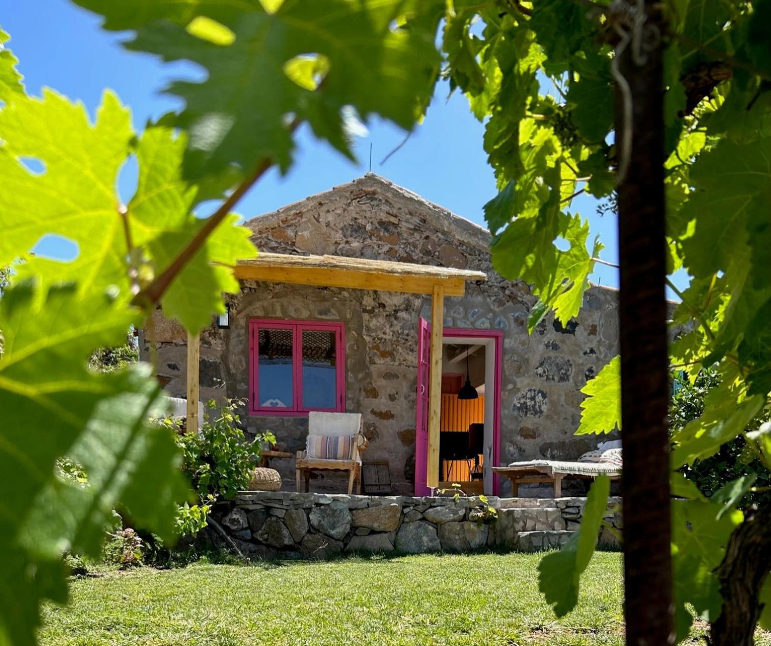 Lilly'S Finca - Romantischter Rueckzugsort - Pool فيلافلور المظهر الخارجي الصورة
