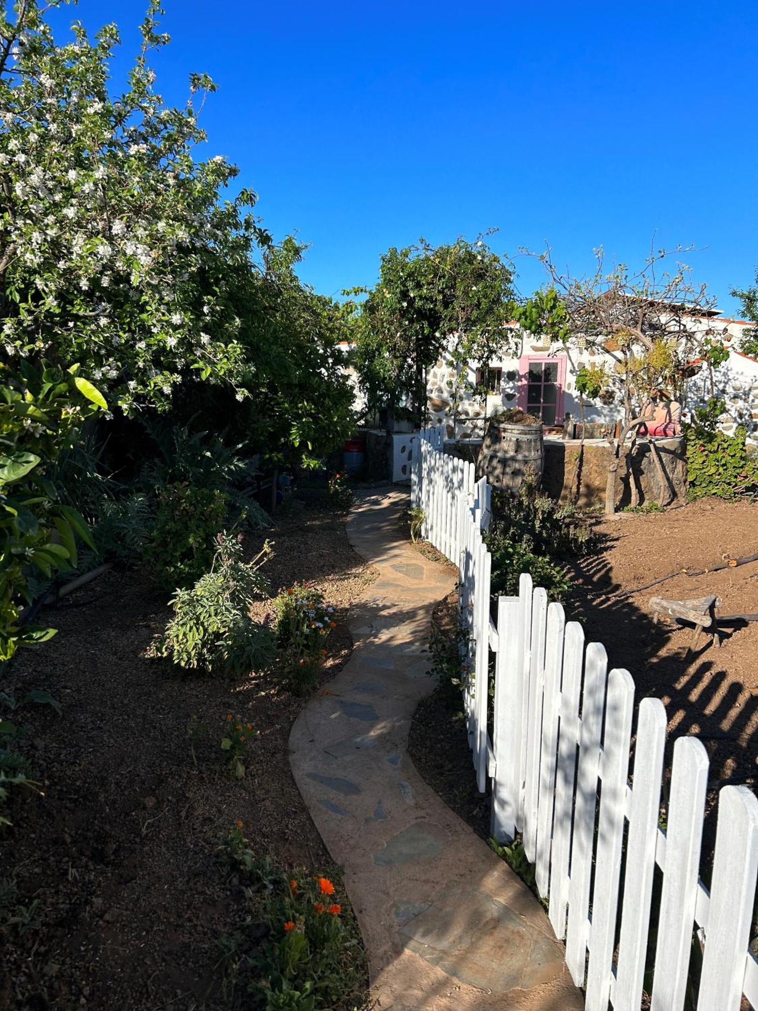 Lilly'S Finca - Romantischter Rueckzugsort - Pool فيلافلور المظهر الخارجي الصورة
